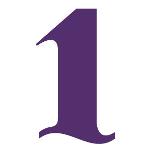 v1ptravelclub.com icon