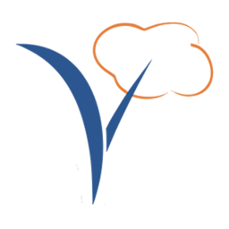 vaanamtech.com icon