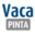 vacapinta.com icon