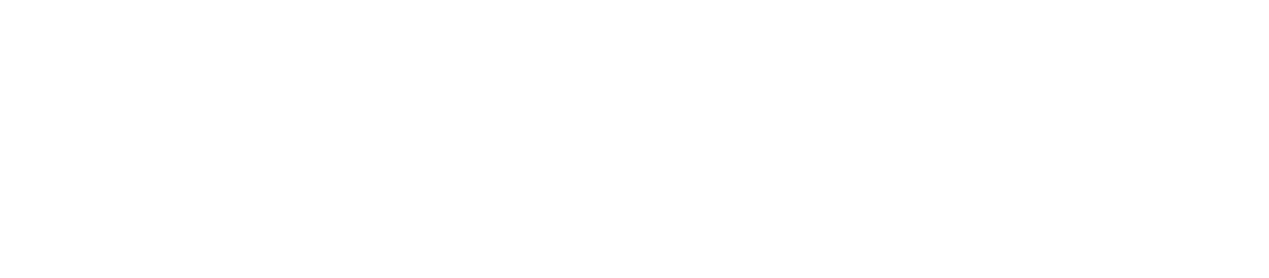 vaenvio.com icon