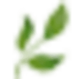 vakantieweerribbenwieden.nl icon