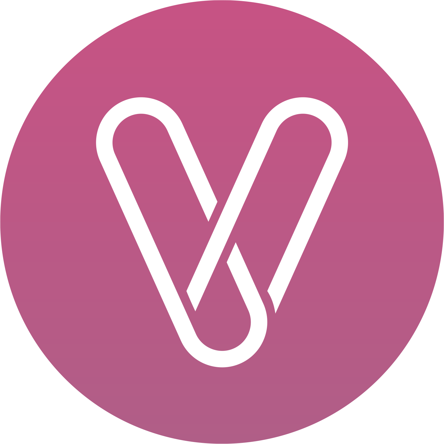 valei.com icon