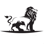 validusmedia.com icon