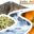 valledelguadalhorce.org icon