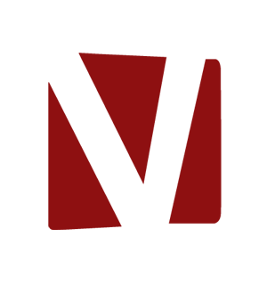 vanbros.com icon
