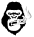vandalvape.life icon