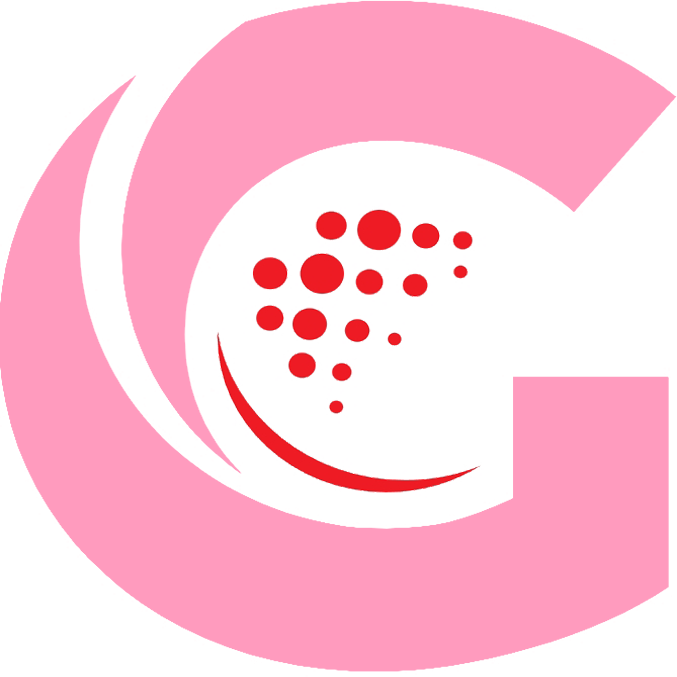 vantotolo.com icon