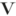 vanucci.com icon