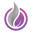 vapefully.com icon