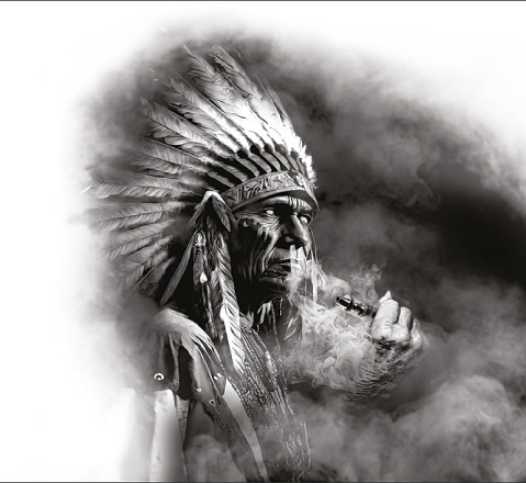 vapewolinak.com icon