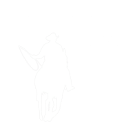 vaqueroymar.com icon