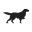 Vasque logo