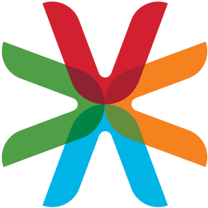 vastnetworks.com logo