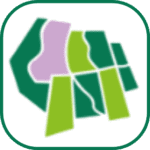 vbne.nl icon