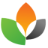 vbwebservices.com icon