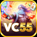vc55j.com icon