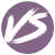 vchainstore.com icon