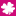 vdolady.com logo