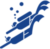 vdst.de logo