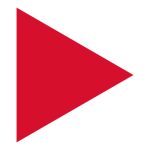 vector-stiftung.de icon