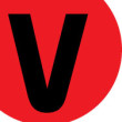 veermag.com icon