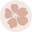 veggiegardenseeds.com.au icon
