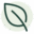 vegkitchen.com logo