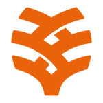 veiling.com.br icon