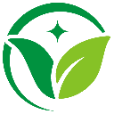 vejing.com icon