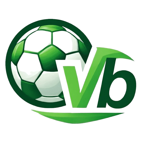 venasbet.com icon