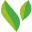 verdantcc.com icon