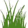 verdelafan.ro icon