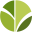 verdevertical.com icon