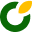 verdosphere.com icon