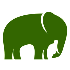veridiansoftware.com icon