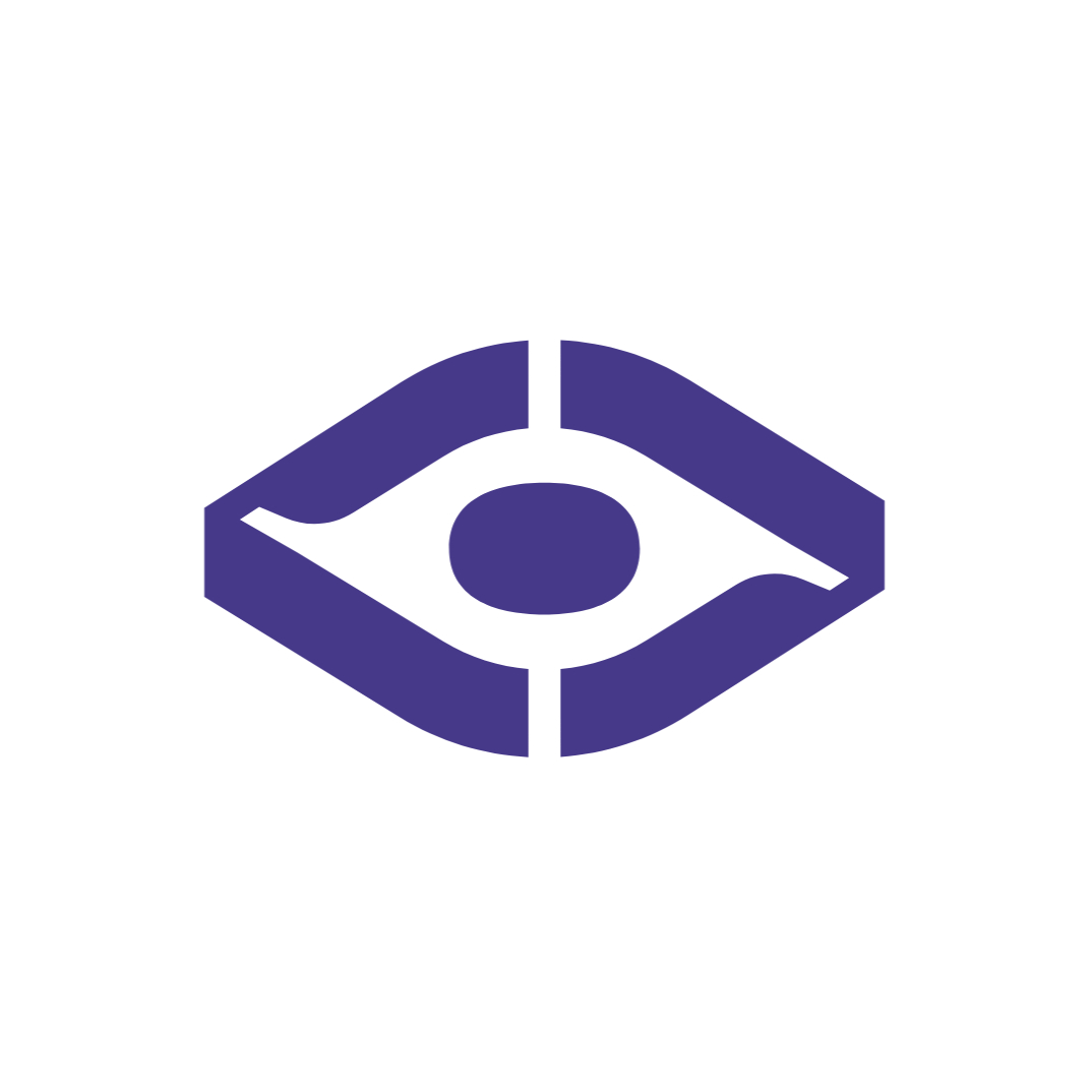 verifeye.online icon