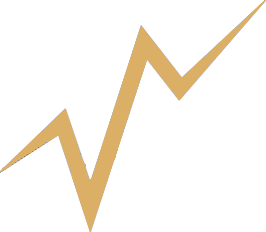 veriphyanalytics.com icon