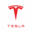 verkoopjetesla.nl icon