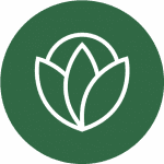 vermontmoms.com icon