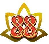 veronikamarquez.com icon