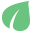 versionecologique.com icon