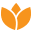 ververexport.com icon