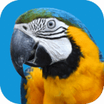 vetafarm.com.au icon