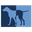 vetrad.com icon