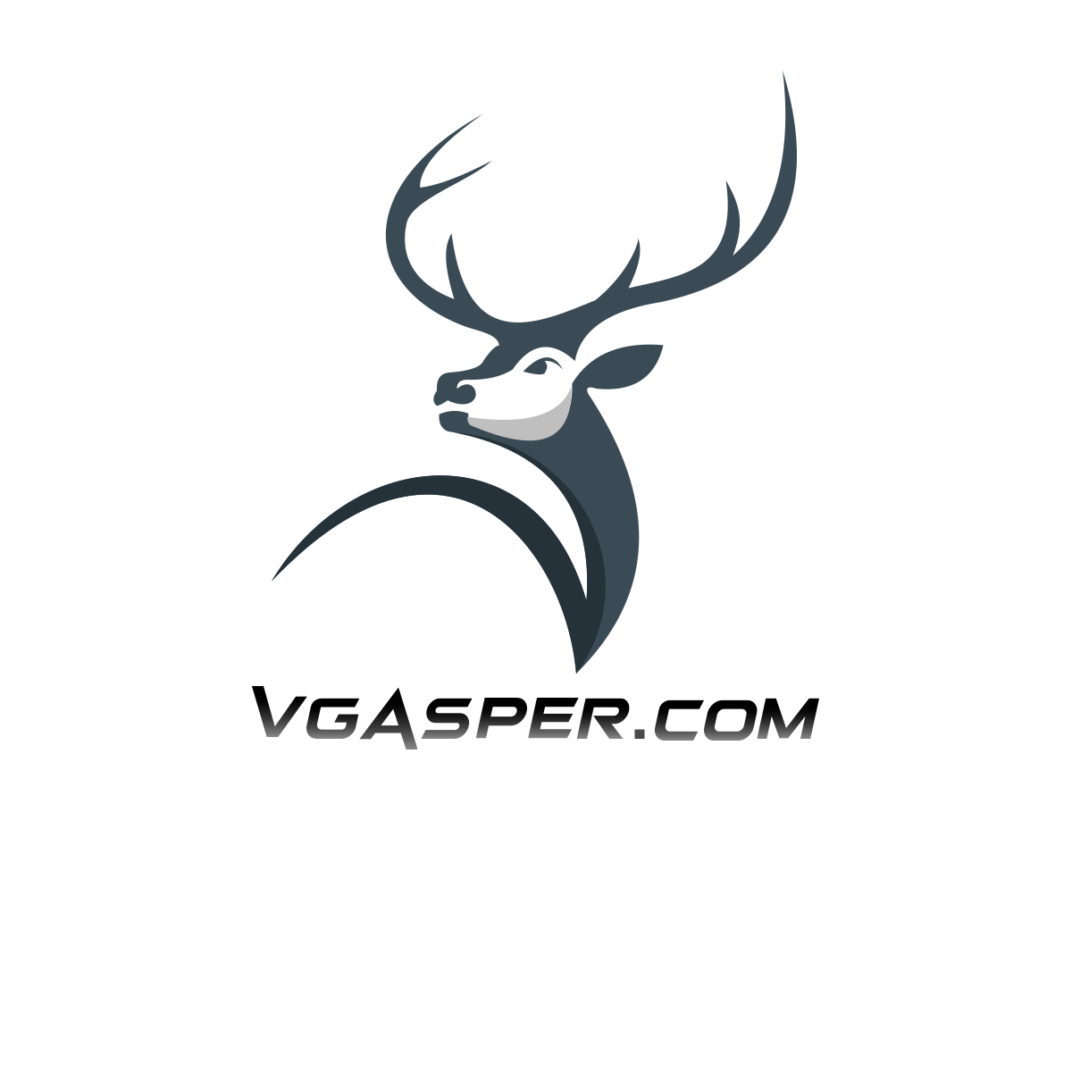 vgasper.com icon