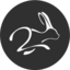 vhiterabbit.com icon