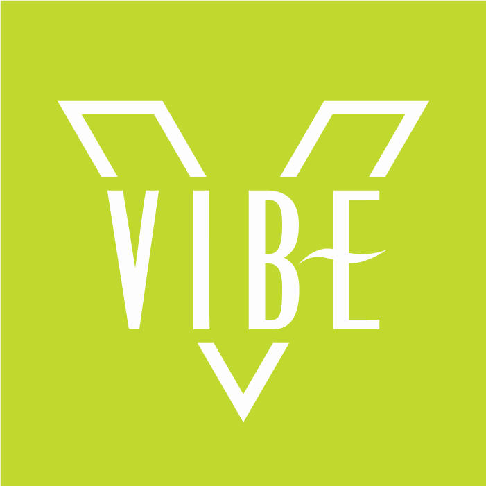 vibesmg.com icon
