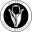 viceroydigitalmarketing.com icon