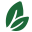 vidanova-group.com icon