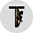 videotubeparty.com icon